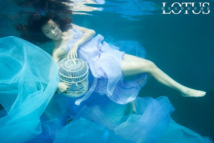 【水下拍摄摄影图片】生活摄影