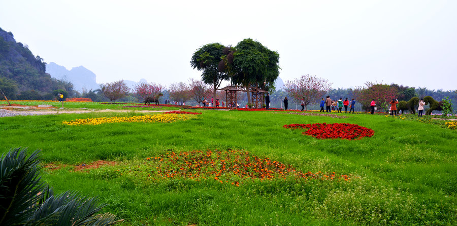 【春暖花开摄影图片】南宁花花大世界风光摄影_太平洋