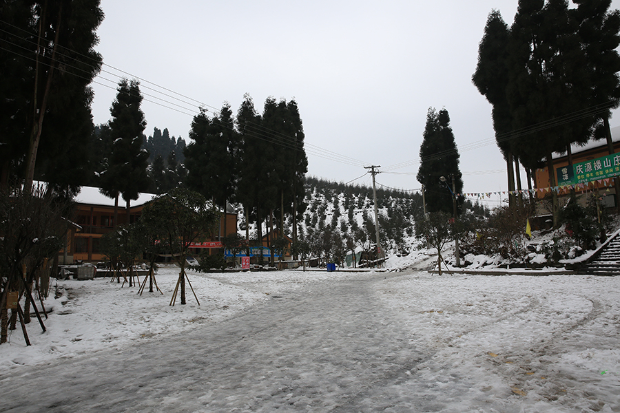 【钟鼎寺的雪摄影图片】德阳什邡市风光摄影_行行摄摄