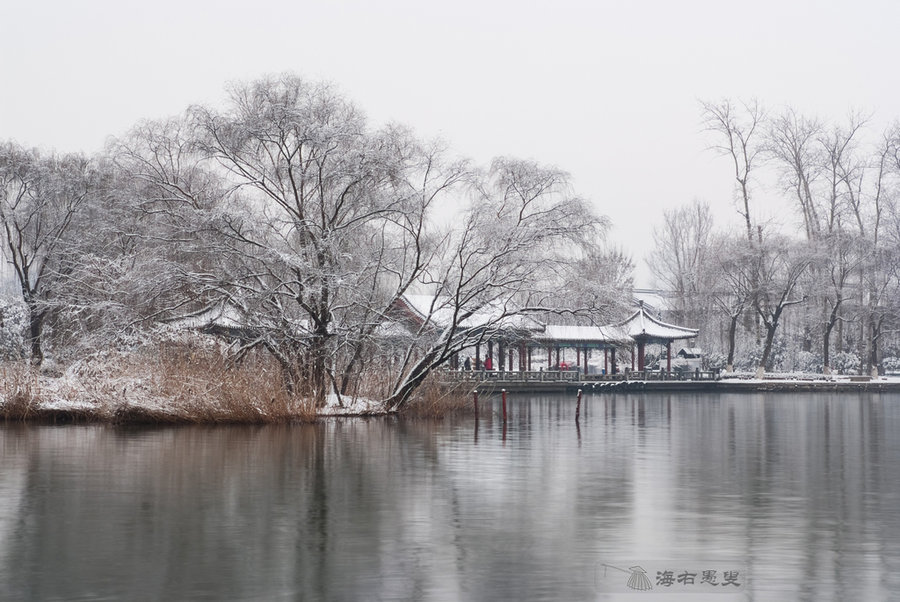 【济南的冬天(四)摄影图片】济南大明湖风光摄