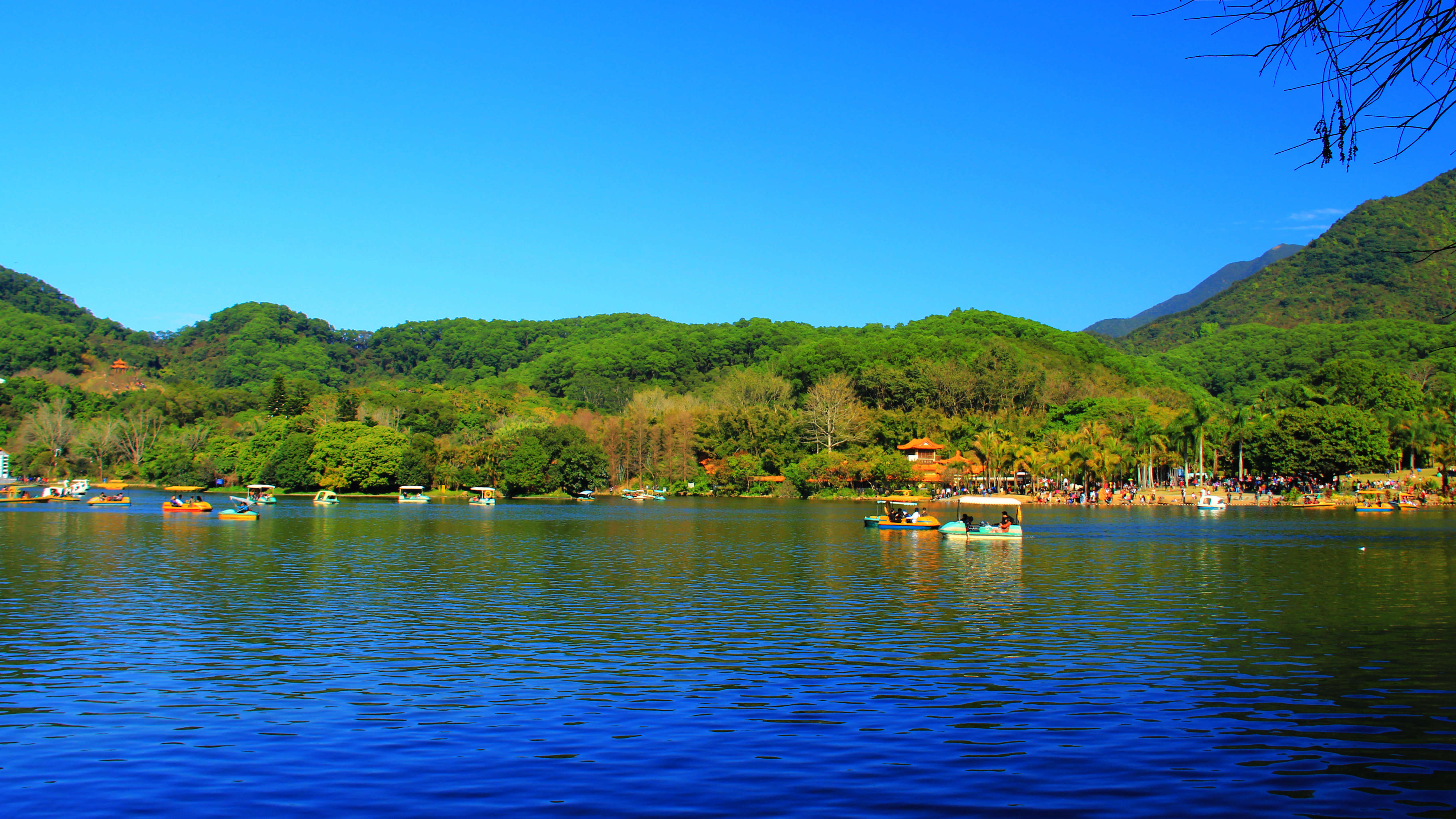 醉美仙湖