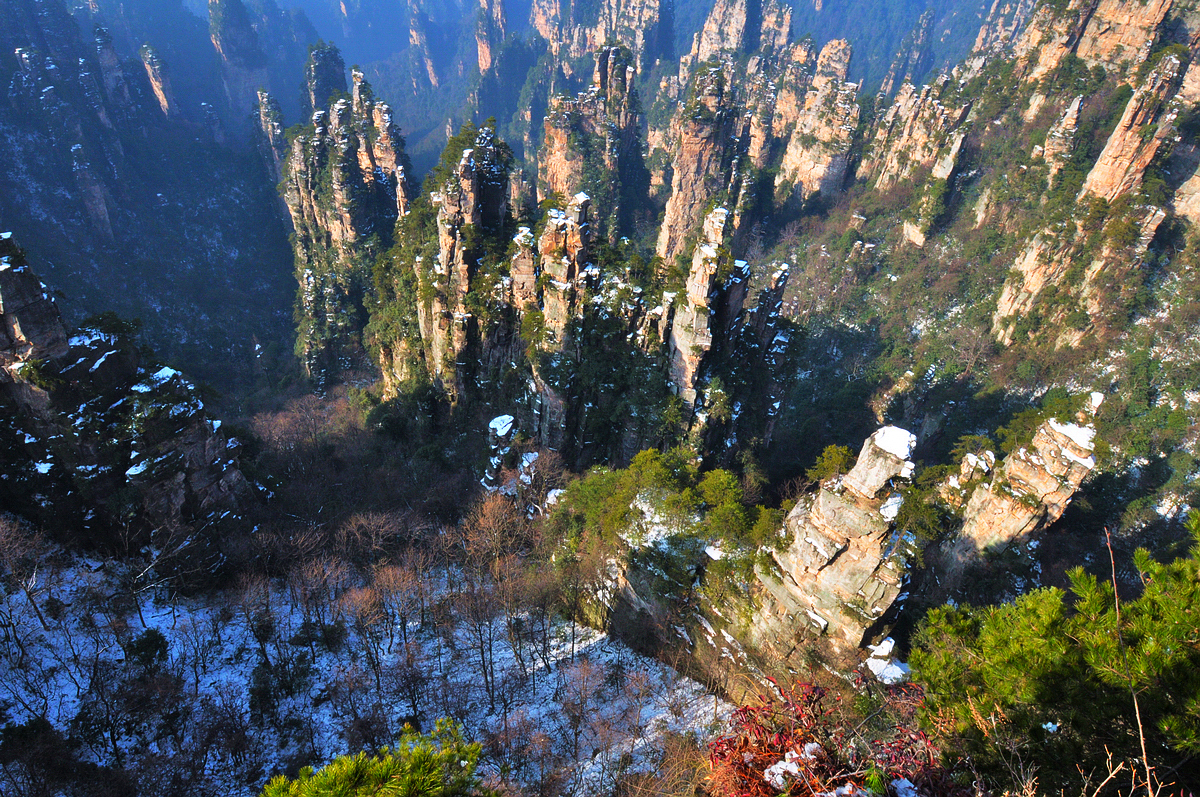 天子山·西海峰林