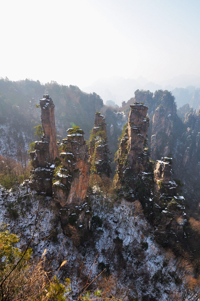 天子山·西海峰林