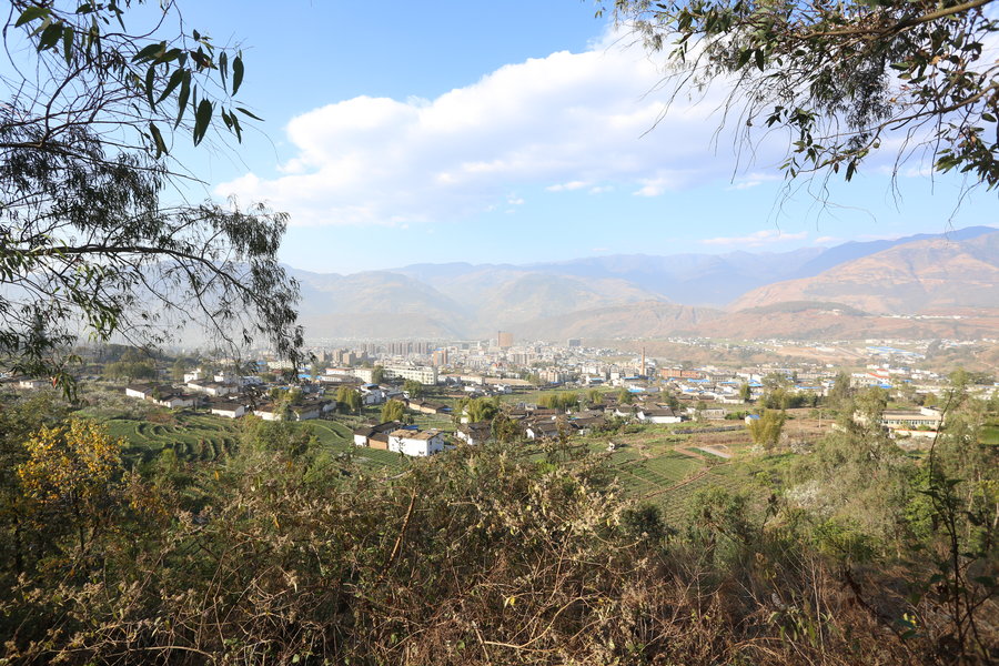 四川宁南骑骡沟铅锌矿区隐藻类碳酸盐岩的沉积环境与成矿意义