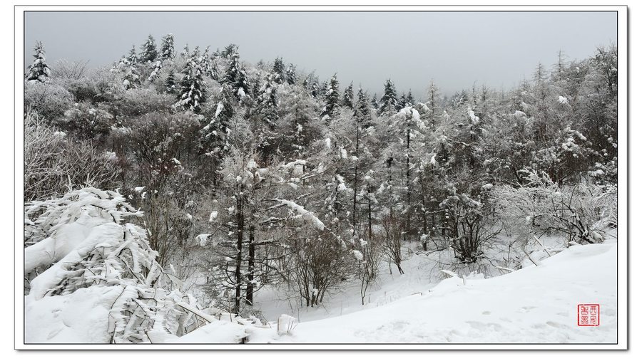 【续秦岭雪景摄影图片】秦岭沣峪风光摄影_西