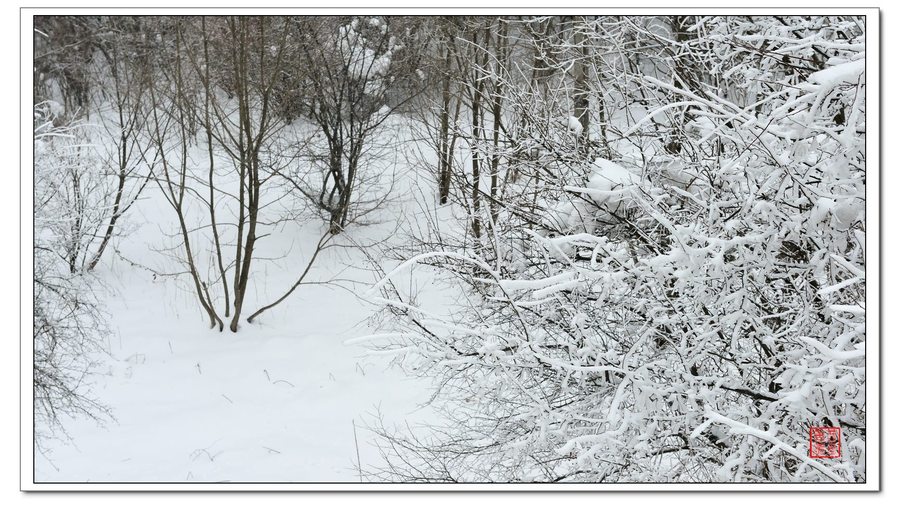 【续秦岭雪景摄影图片】秦岭沣峪风光摄影_西