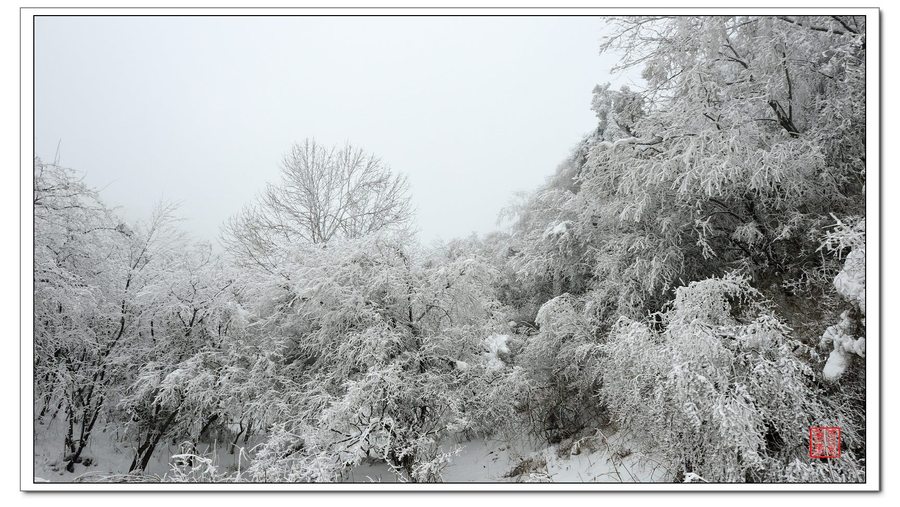 【续秦岭雪景摄影图片】秦岭沣峪风光摄影_西