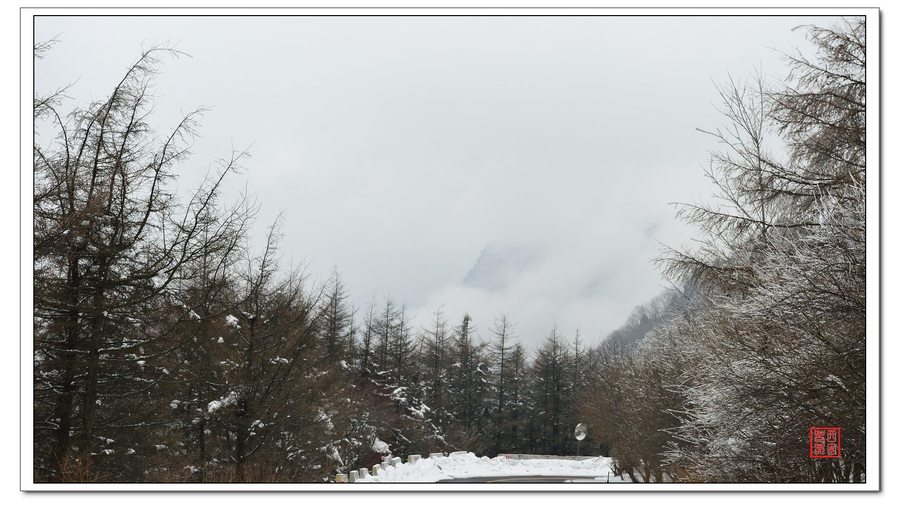 【续秦岭雪景摄影图片】秦岭沣峪风光摄影_西