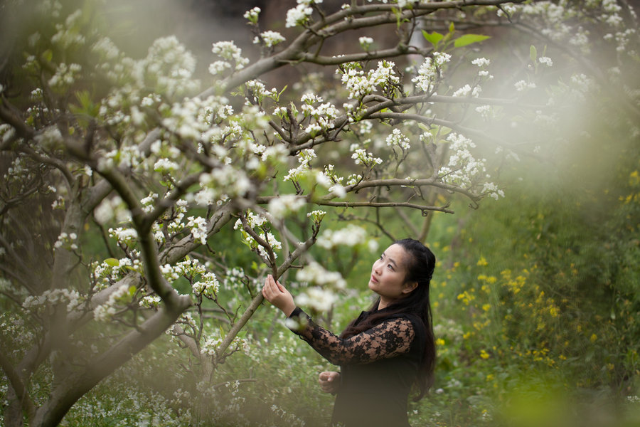 【梨花园--花与少女摄影图片】柳州人像摄影