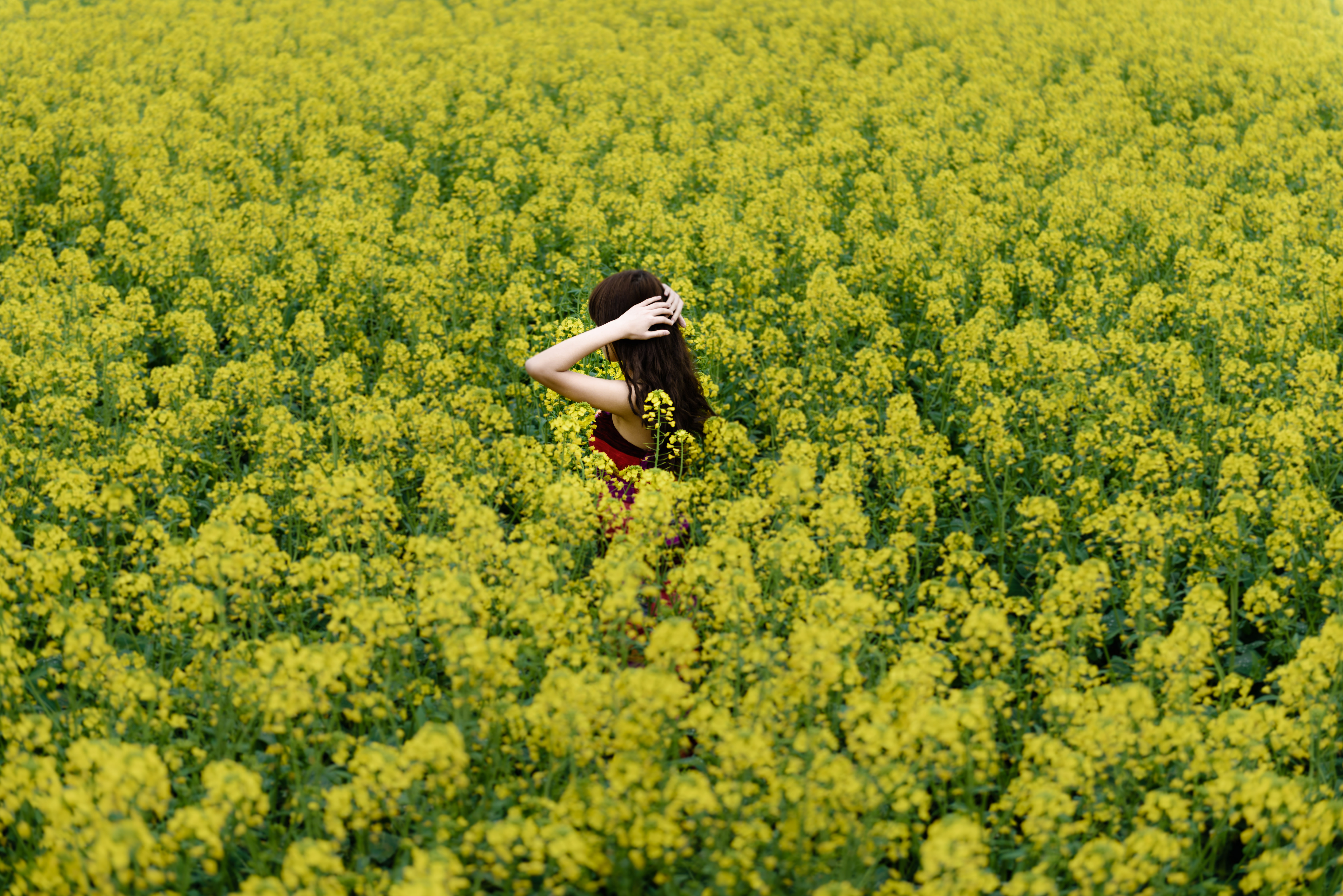 女人如花