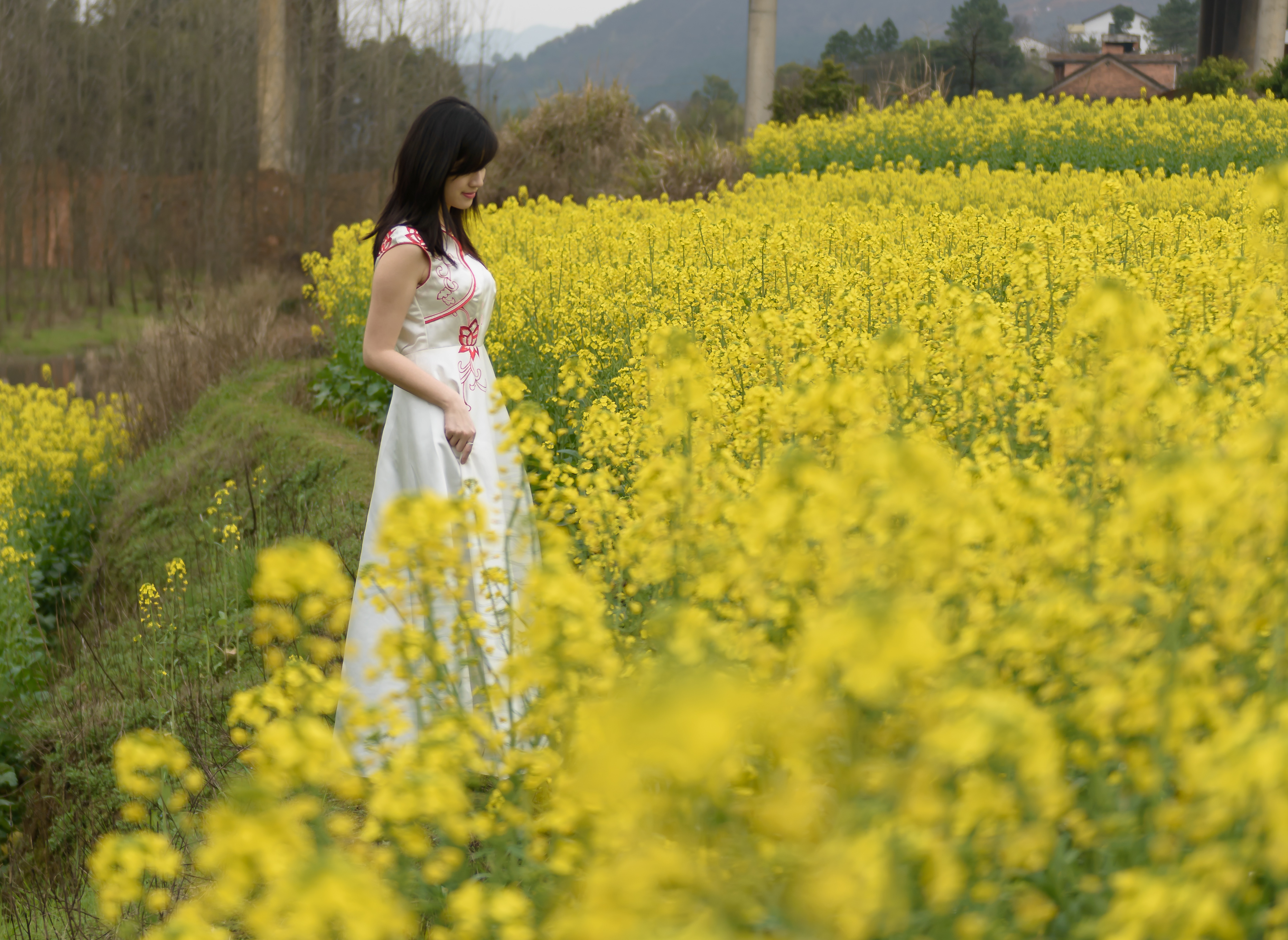 女人如花