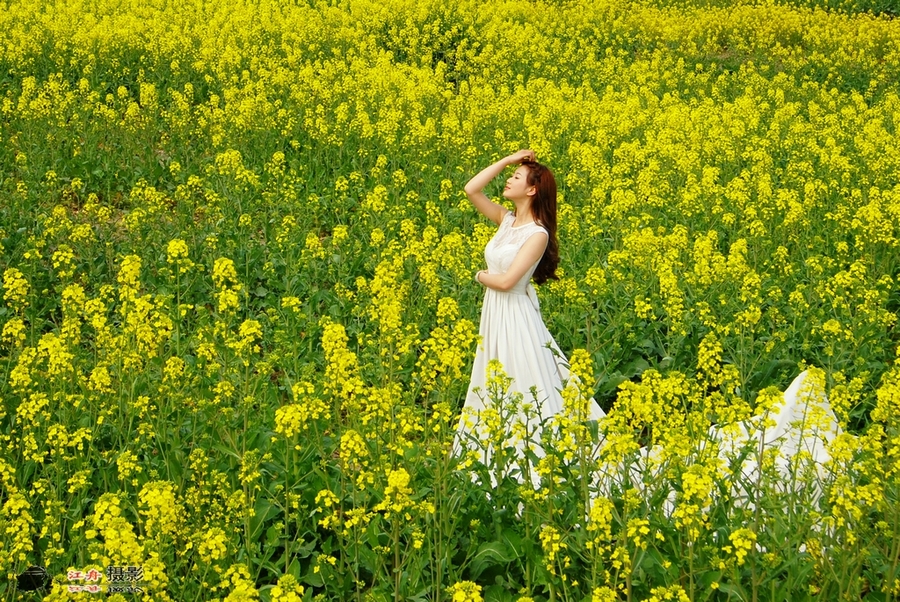 油菜花人像