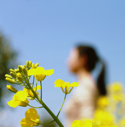 油菜花里的小清新