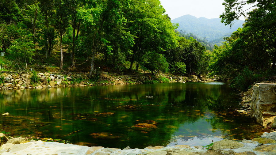 石门国家森林公园位于广东从化市东北部,距广州市86