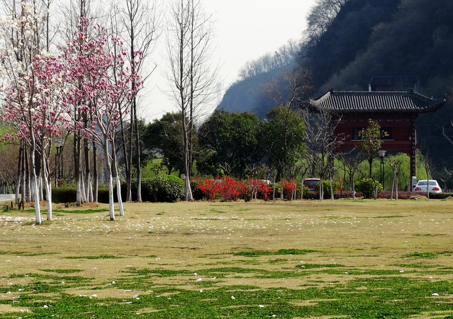 《江澜绿野》牌坊360度近景周边风景组图