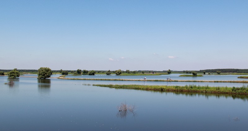 沈阳七星湿地公园