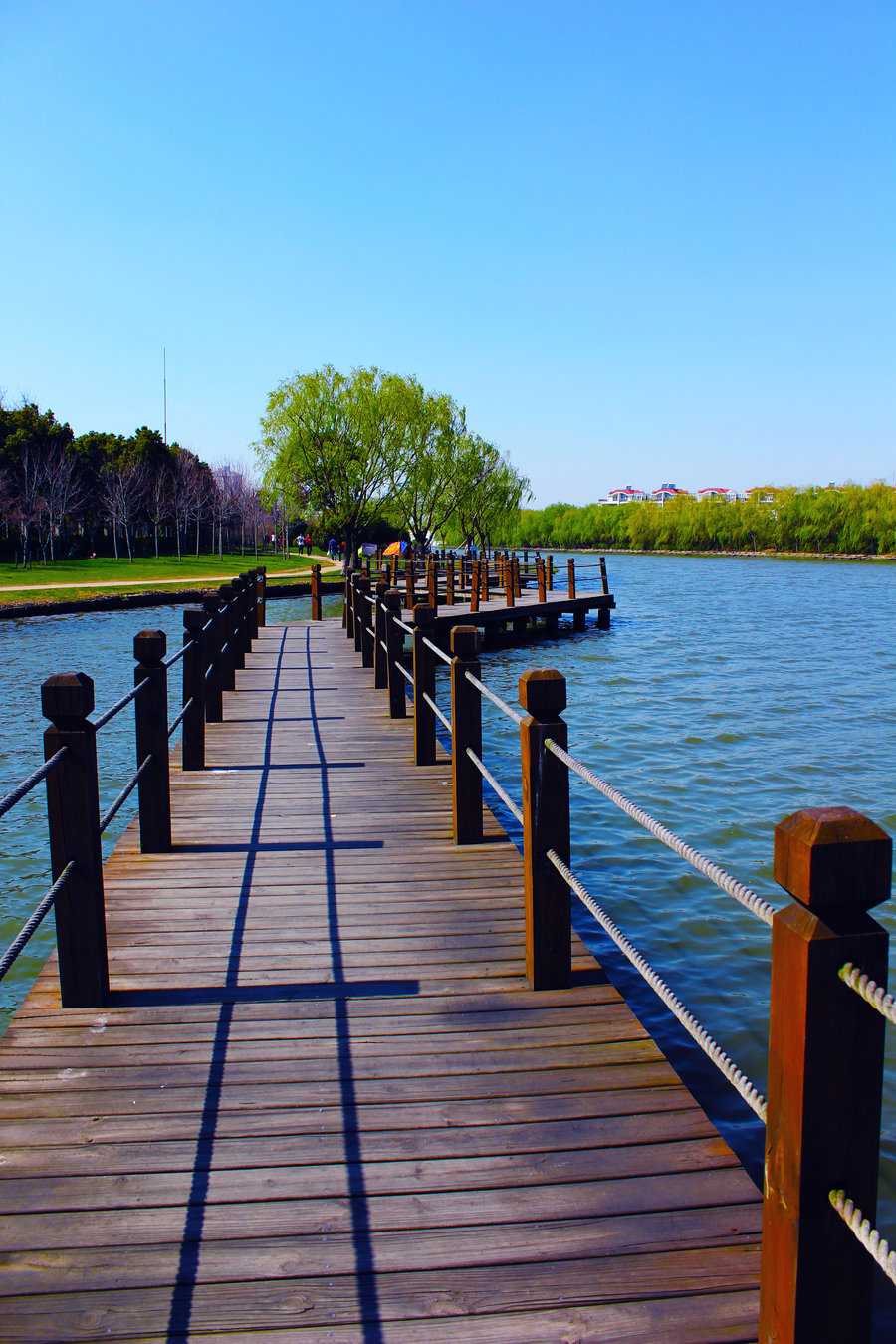 【美丽松江摄影图片】上海风光旅游摄影