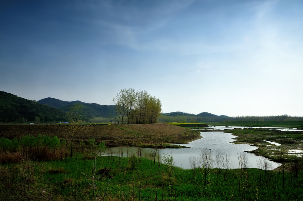 《滁河风光》