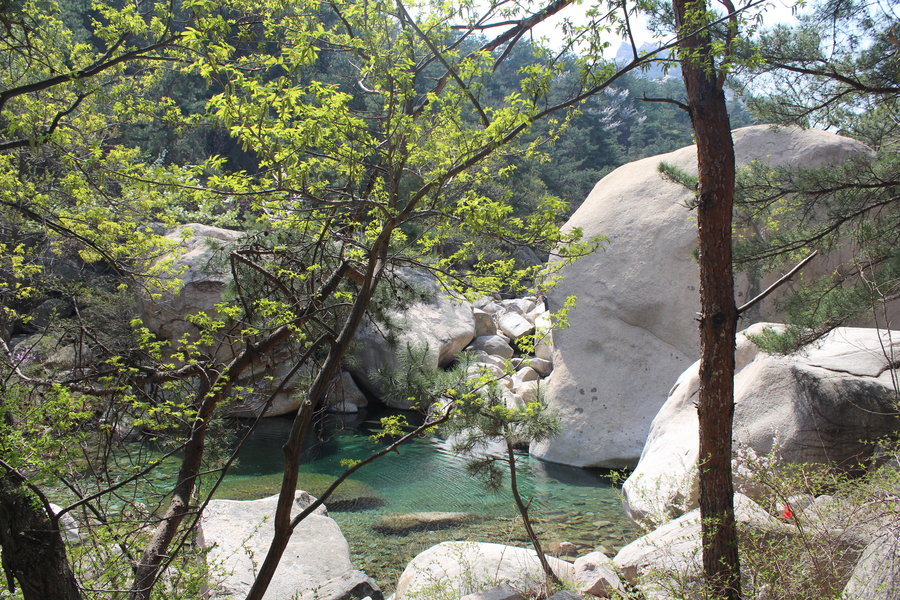 二龙山风景区