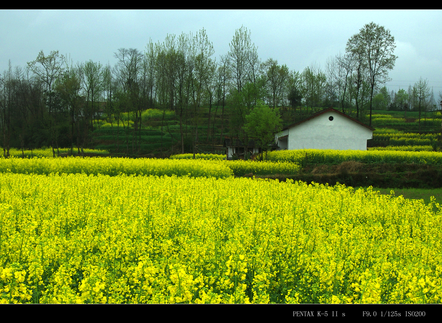 陕西汉中田间风景