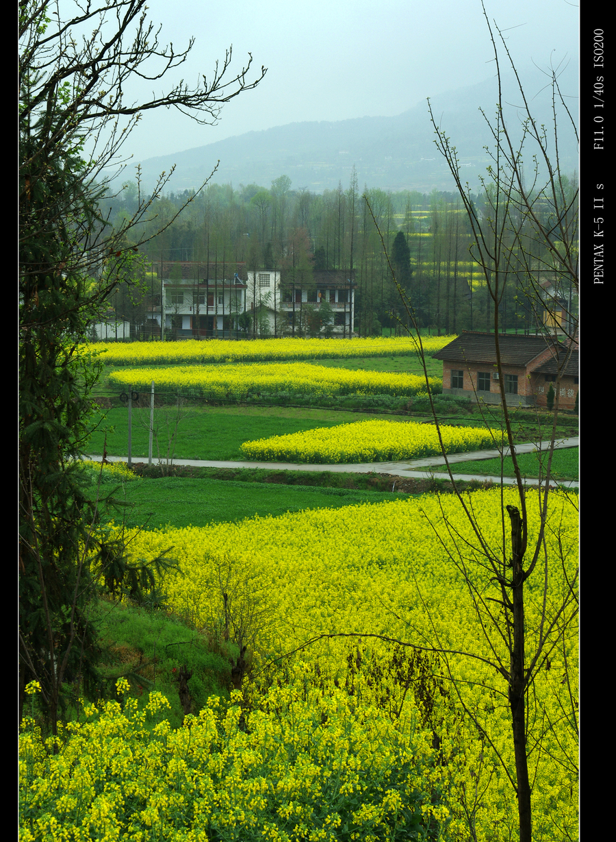 陕西汉中田间风景