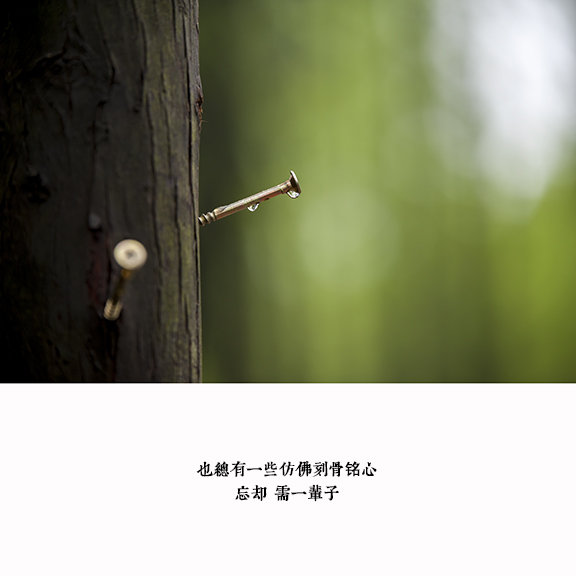 【帘前雨 - 有关思念的句子摄影图片】生活摄影
