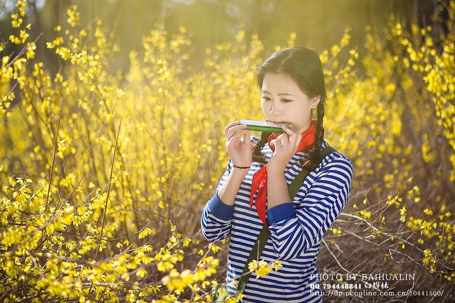 【迎春花盛开的日子摄影图片】大庆西苑人像摄