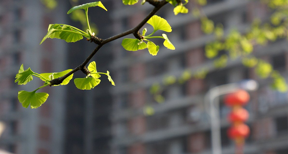 晴与雨天的对话——细雨与阳光孪生的姐妹