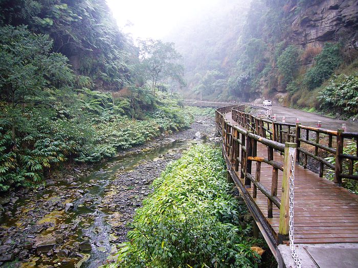 犍为桫椤峡谷及桫椤湖