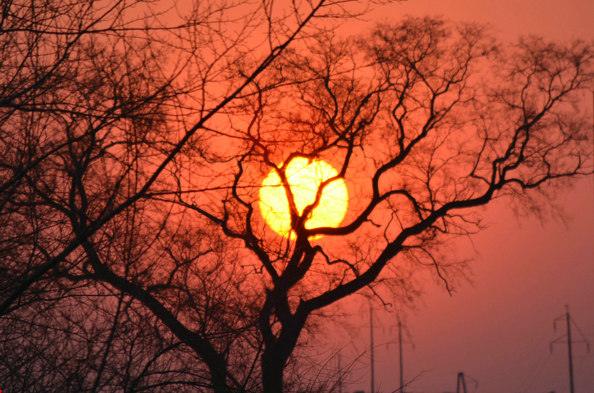 豪哥街拍#追逐唯美夕阳—高速公路120迈车速上拍的落日
