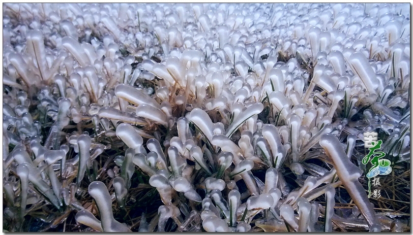 【神奇的春天冰挂摄影图片】甘肃省玉门市风光