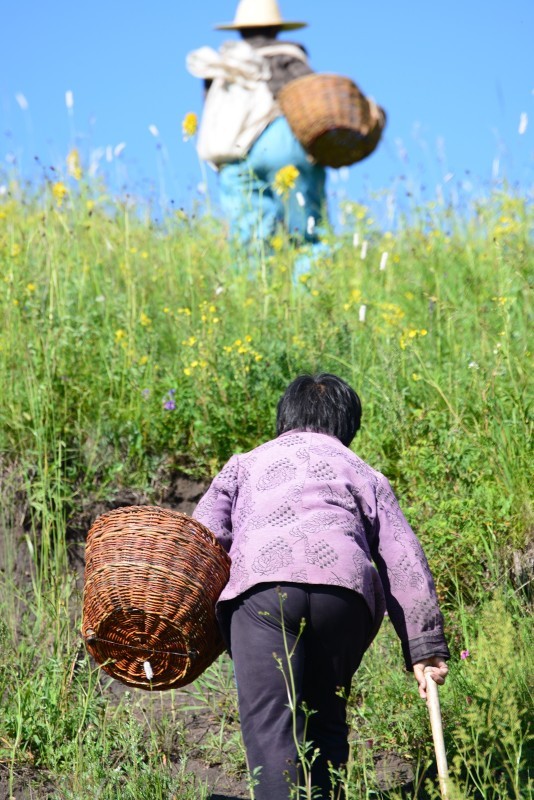 【草原小景摄影图片】生活摄影_太平洋电脑网