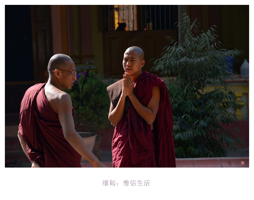 缅甸僧侣生活