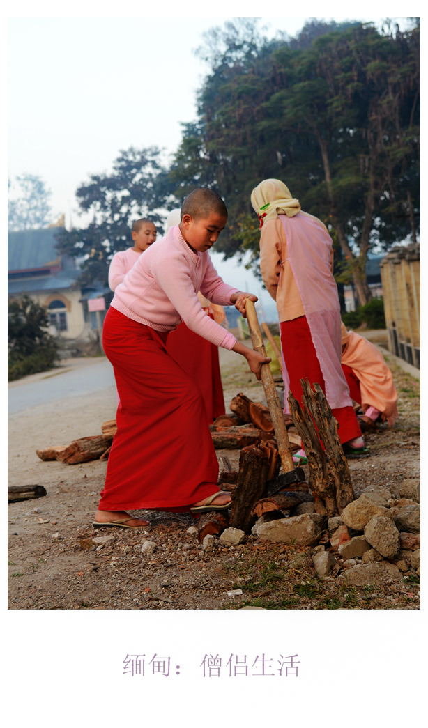 缅甸:僧侣生活