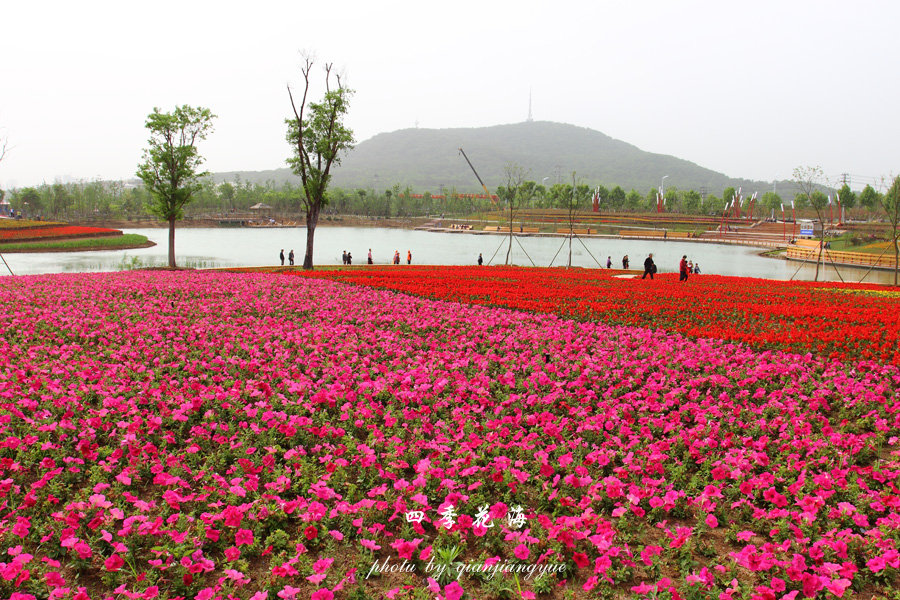 四季花海