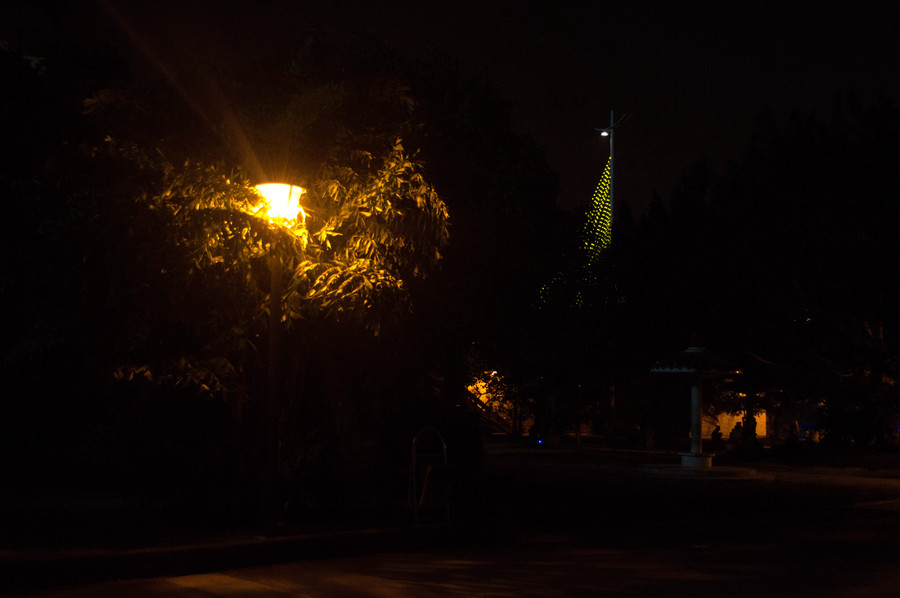 【南湖夜景摄影图片】南宁市南湖公园风光旅游