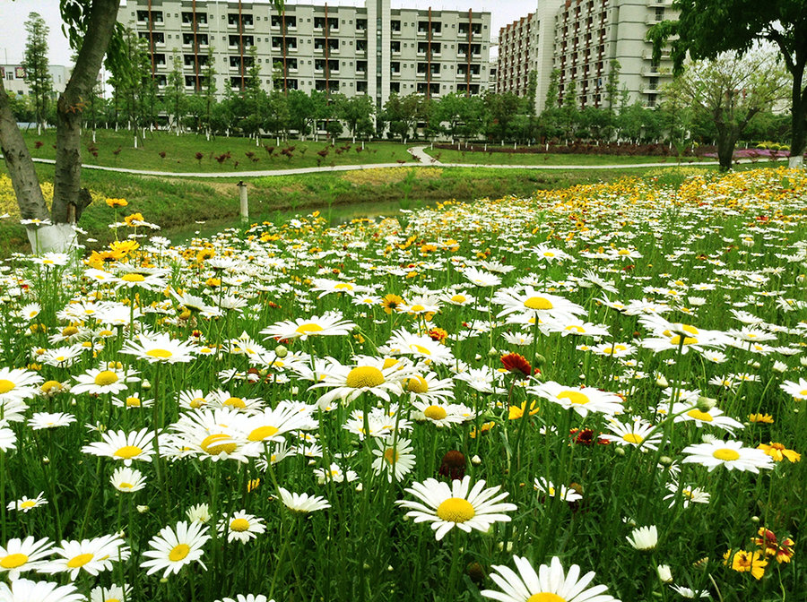 【晨曦摄影图片】广西省玉林市北流县风光旅游