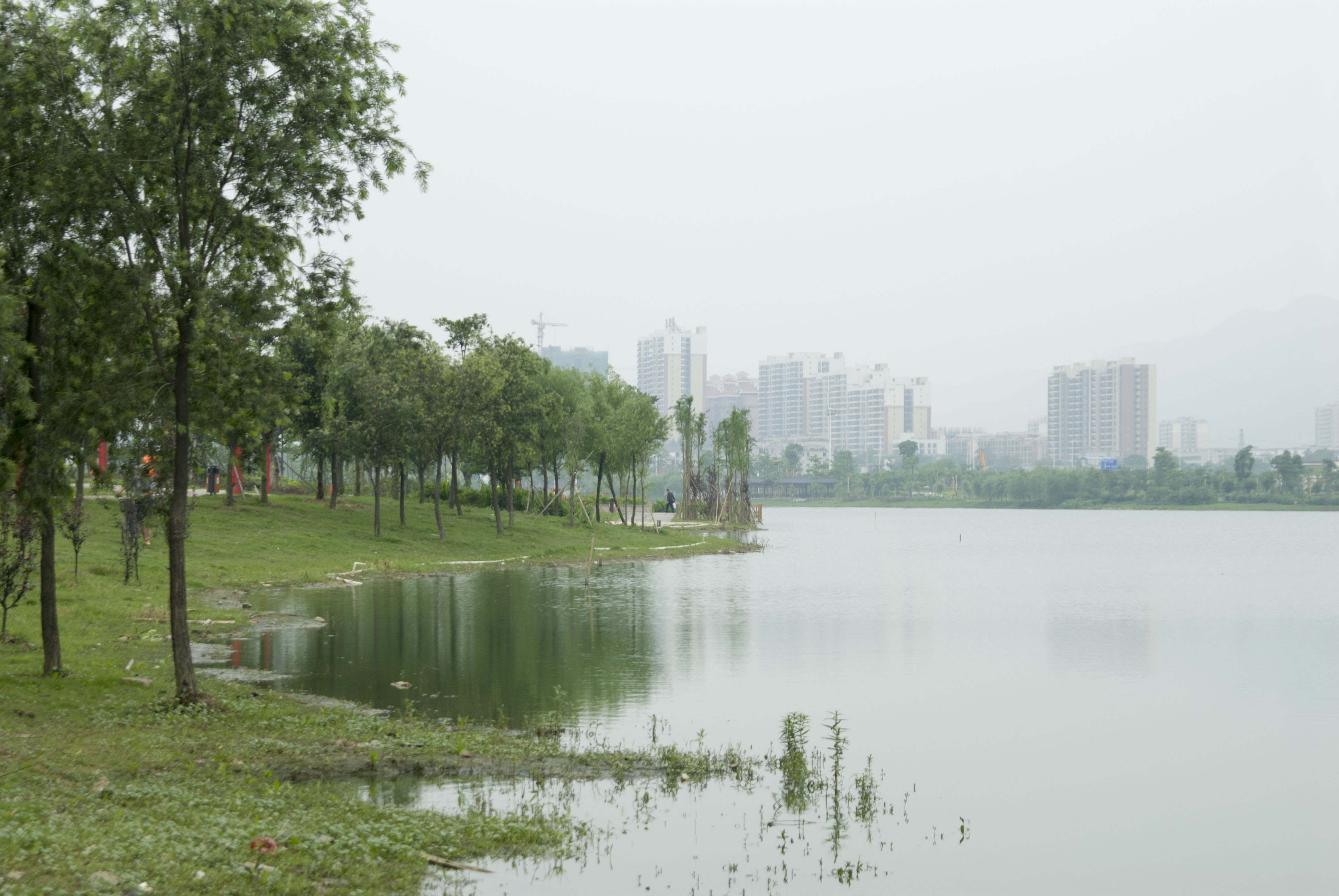 清远飞来湖湿地公园(一)