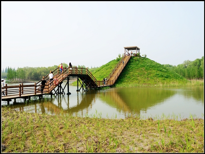 崇明西沙湿地公园