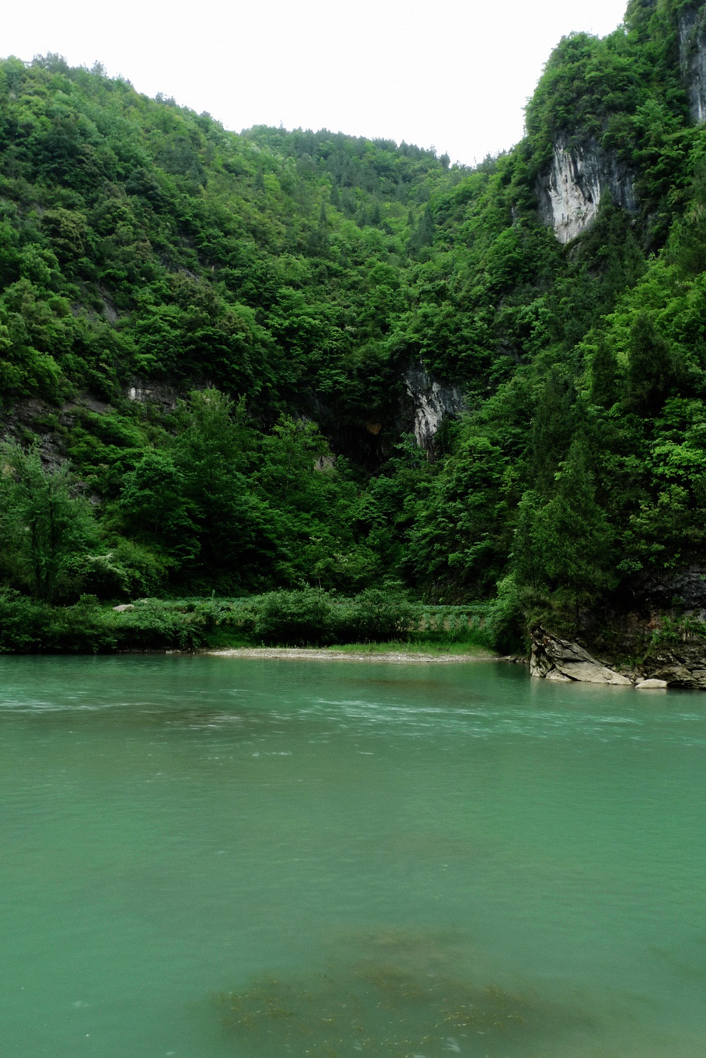 大巴山风光