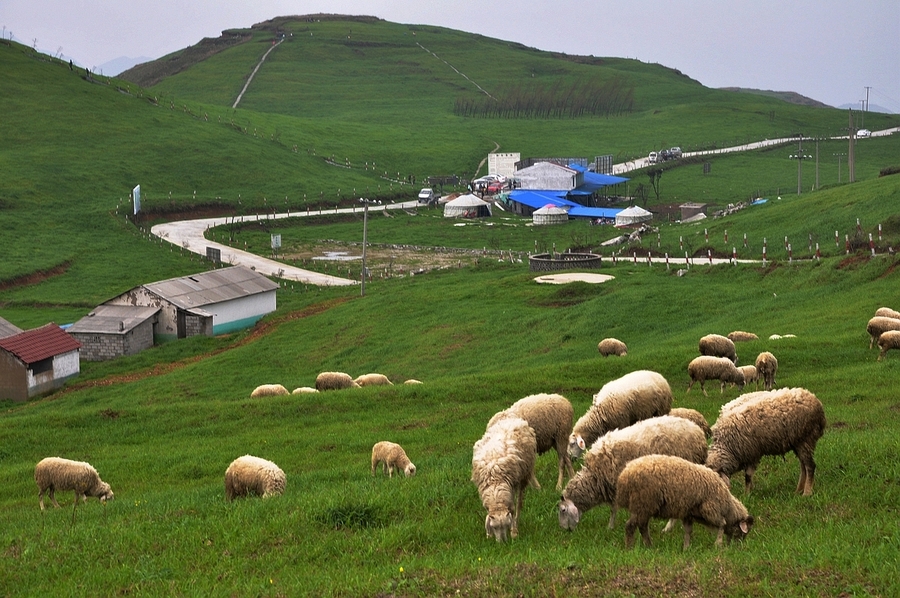 黔东草海