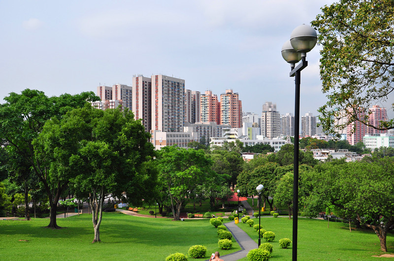 【大都市里的小绿点【香港元朗公园】摄影图片