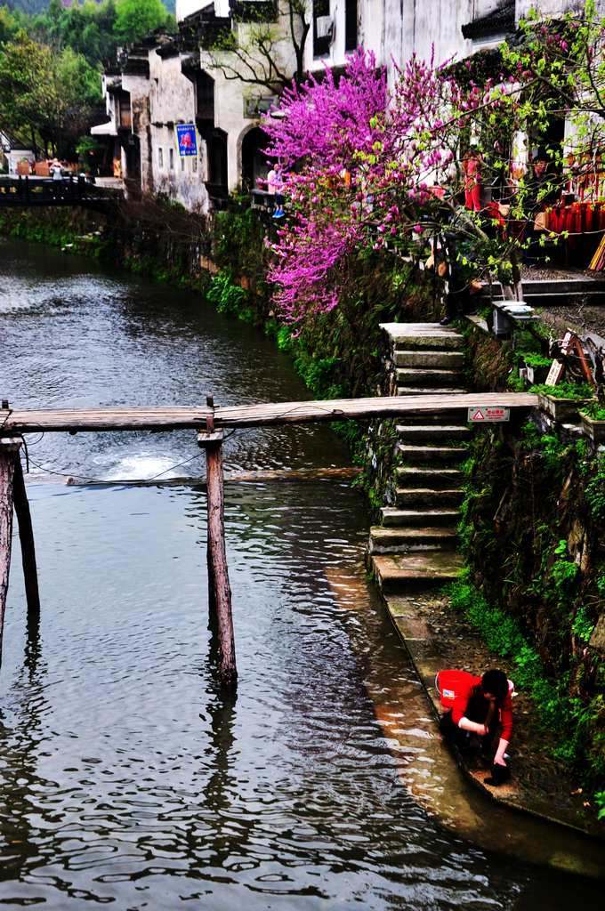 小桥流水黄花,美丽绩溪龙川