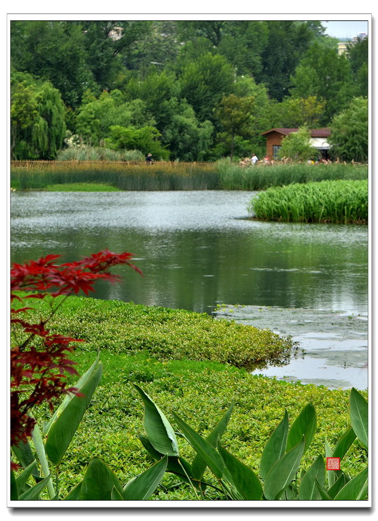 花溪十里河滩