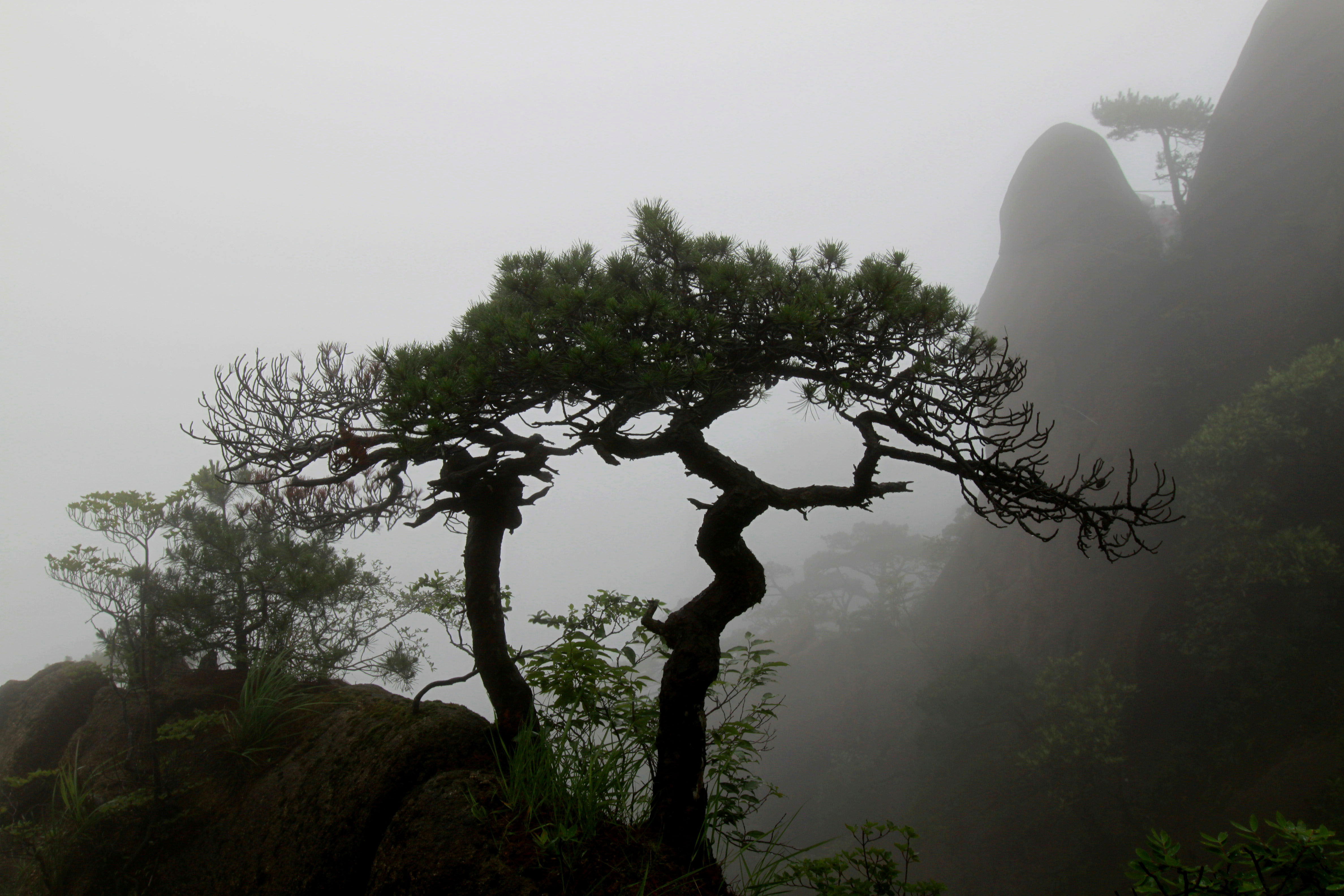 上饶市玉山县三清山的秀美，雨雾中的风景就像仙境一样，看看怎样