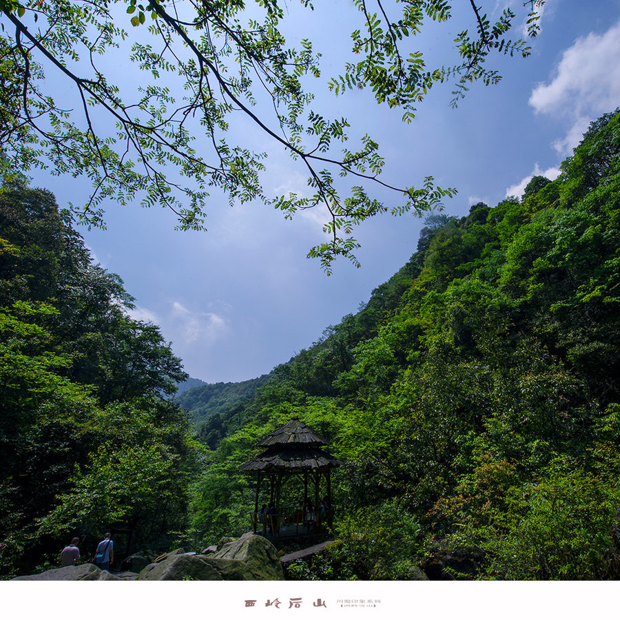 查看大图 手机看图 作品简介 大邑县境内的西岭雪山分前山与后山风景