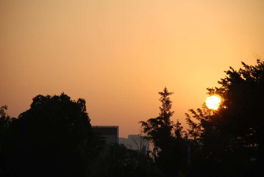 初夏的早晨