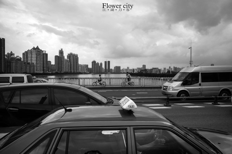flower city-10