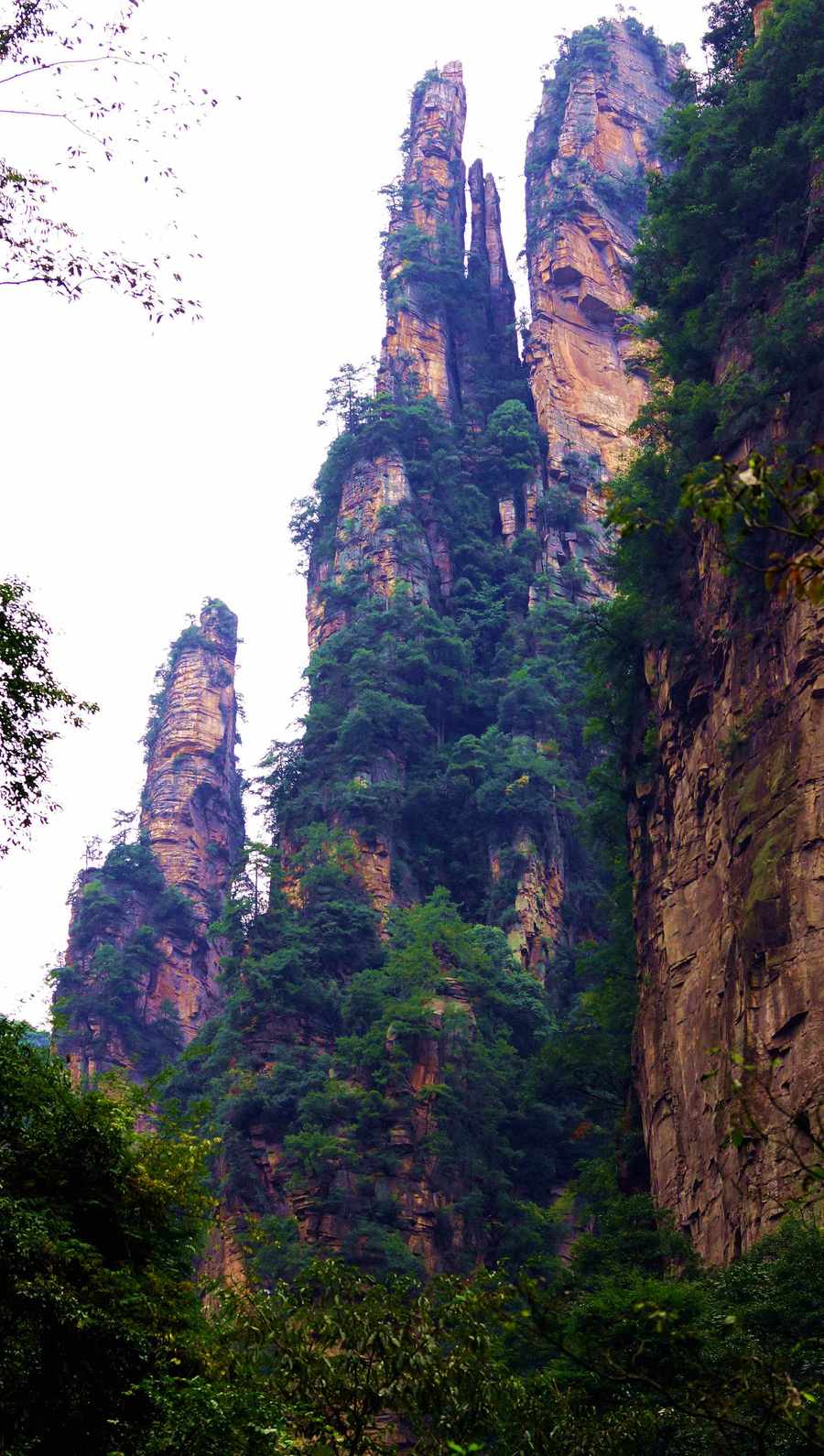 【张家界之黄石寨,金鞭溪2摄影图片】风光旅游摄影_网