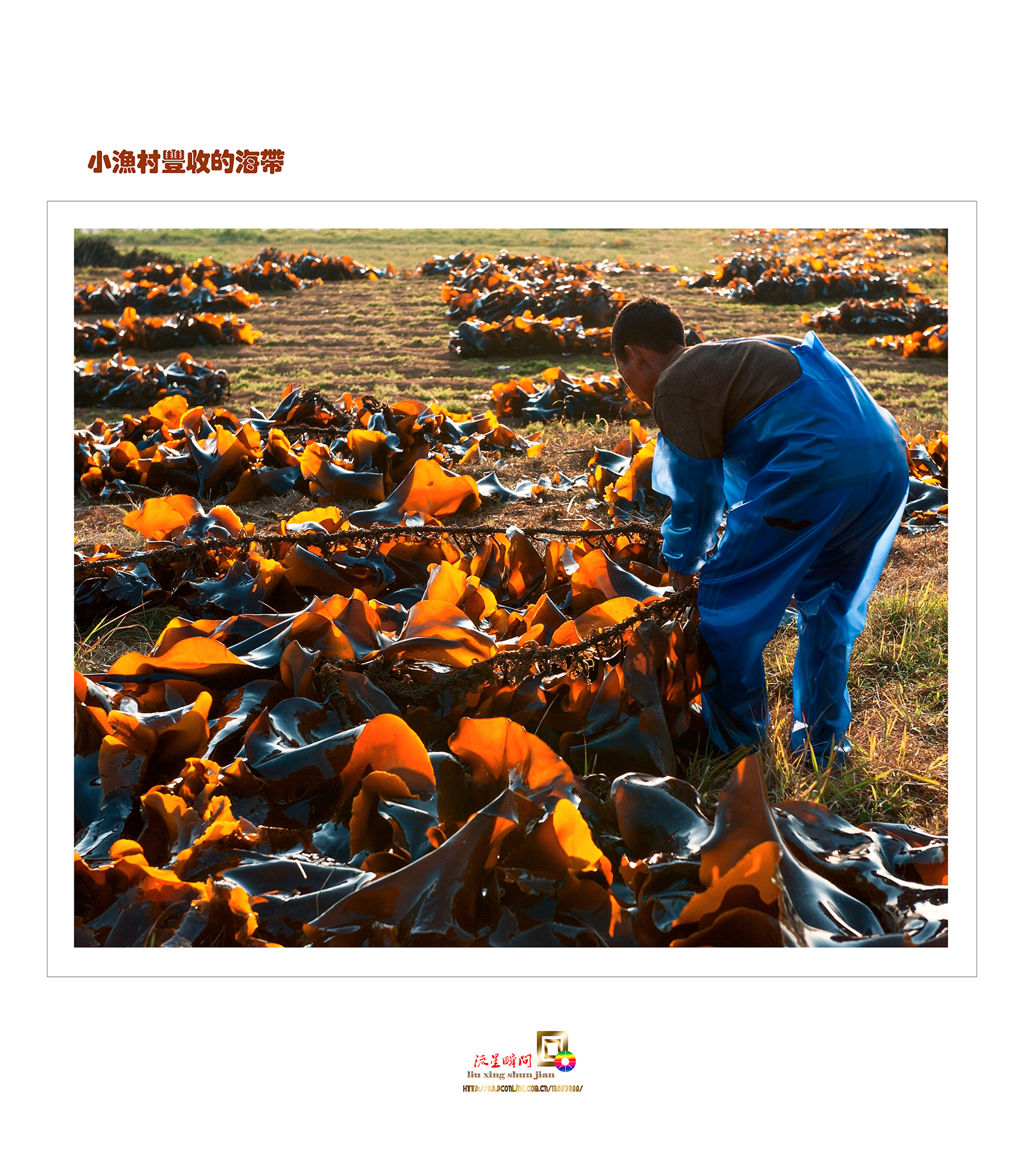 福州连江的一个千年小渔村，据说全国只有1%的人领略过它的美